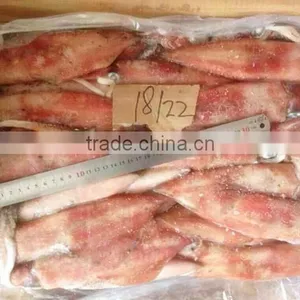 Frozen Whole Round Red Squid thumbnail-2