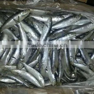 Competitive Price Wholesale Sardine thumbnail-1