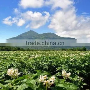 Land in Niseko Resort , Hokkaido , Japan thumbnail-2