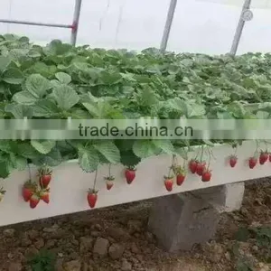 Agricultural Hydroponics U Type Trough Growing System thumbnail-1