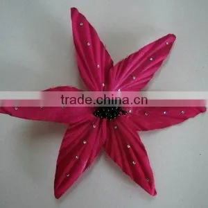 Petal thumbnail-1