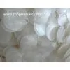 White Capiz Shell Chandelier Accessory/shell Circles thumbnail-1
