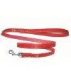 Supply Crocodile Collar and Leash thumbnail-1