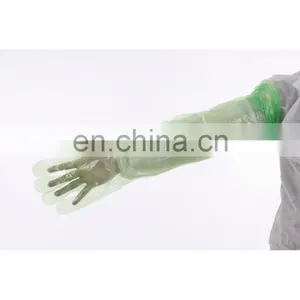 Disposable PE Long Sleeve Gloves Plastic Gloves thumbnail-1