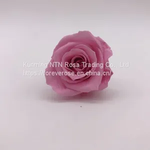 Wholesale3-4cm Elegant Real Touch Preserved Rose Flower thumbnail-2