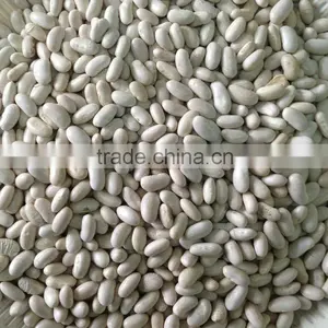 Bai Shake White Kidney Beans thumbnail-1