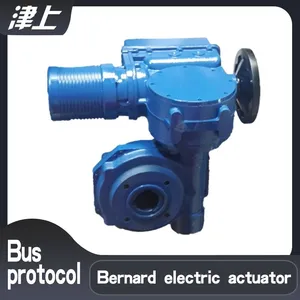 Tianjin Bernard Electric Valve Actuator B+RS160/F28Z Redundant Communication Mode thumbnail-1