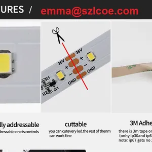 DC36V 2835 SMD Flexible LED Strip High Lumen 30m per Reel Warm White White Flex Led Light Strip thumbnail-2