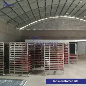 Industrial Fruit Apricots Drying Machine in Pakistan Mango Tomato Banana Herb Copra Dryer Machine EPC thumbnail-4