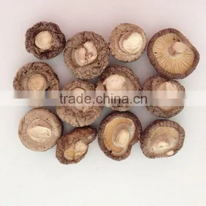 Prices for Dried Shiitake Mushroom thumbnail-4