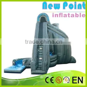 New Point Inflatable Water Slides for Summer,fashionable Garden Play Inflatable Slide,inflatable Water Slidekids thumbnail-1