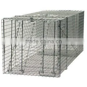 Raccoon Cage Trap thumbnail-1