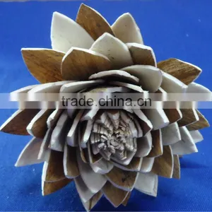 Sola Flower thumbnail-3