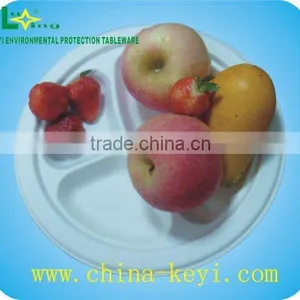 9-inch Sugarcane Disposable Plates thumbnail-1