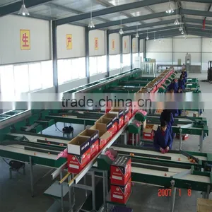 Potato-size Sorter thumbnail-2
