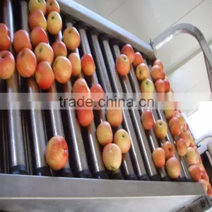 Weigher Type Sorting Machine thumbnail-6