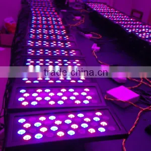 WLED 2-7 HOT 36 Pcs 1w Rgb Leds IP65 Disco 36w Led Wall Washer thumbnail-3