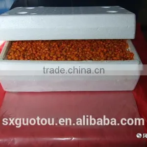 100% Nature Wild Frozen Seabuckthorn Fruit thumbnail-3