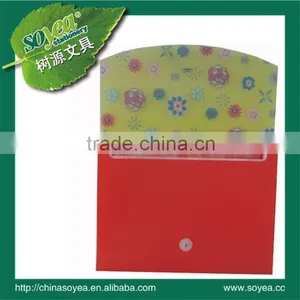 Expanding File Folder thumbnail-1