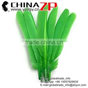 CHINAZP Crafts Factory High Quality Cheap Dyed Lime Green Turkey Pointers Quill Large Feathers thumbnail-1