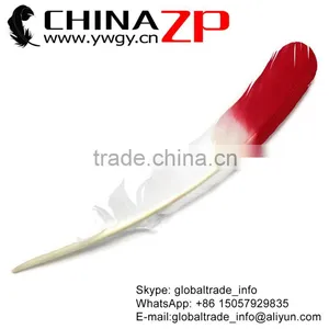 ZPDECOR Selected Prime Quality Cheap Bulk Colored Red Half Dipped Bicolourable Turkey Feathers for Fashion Decorations thumbnail-1