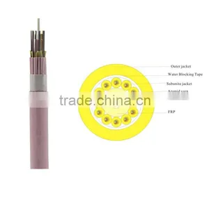 Gjpfh Indoor 12 Core Breakout Fiber Optical Cable From China Mainland Manufacturer thumbnail-1