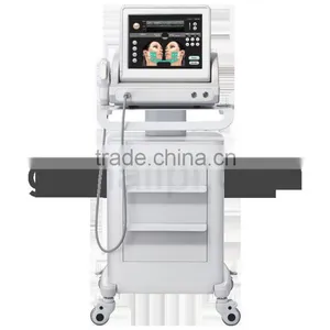 US310Skin Tightening and Skin Lifting Korea Hifu "v" Face Shaping thumbnail-2