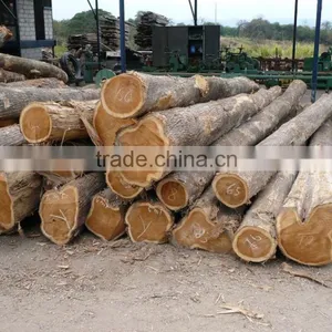 Merbau Wood thumbnail-2