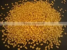 FENUGREEK SEEDS thumbnail-6
