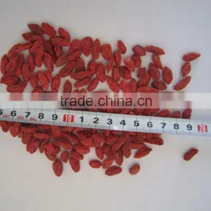 Low Pesticide Goji Berry thumbnail-1