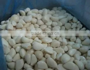 Good Qaulity IQF Peeled Garlic thumbnail-3