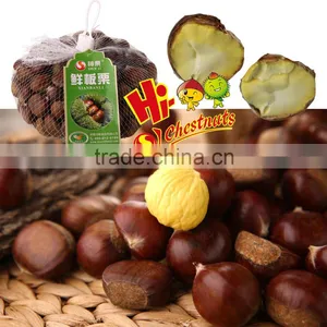 Hebei Organic Fresh Chestnuts thumbnail-6