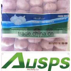Fresh Dry Garlic thumbnail-1