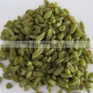 Dried Green Raisin thumbnail-1