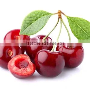 Cherry Seedling thumbnail-1