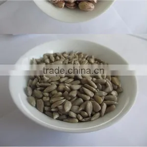 Surpplying Sunflower Kernels for Distributors Wholesalers thumbnail-4
