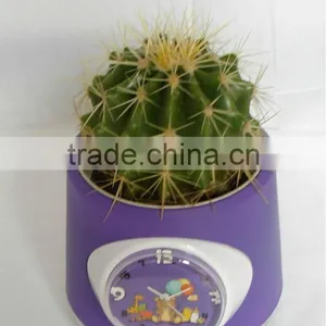 Mini Cactus Bonsai thumbnail-1