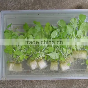 Perlite Hydroponics thumbnail-5