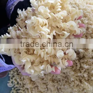 Automatic Italy Pasta Factory Processing Making Processed Food Machine thumbnail-6
