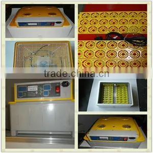 Jn8-48 Mini Portable Egg Incubator for 48 Eggs Family Use thumbnail-1