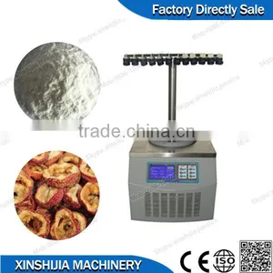 Lab Scale Low Temperature Vacuum Small Lyophilizer thumbnail-1