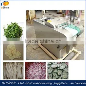 Different Kinds of Knife Electric Vegetable Cutter / Vegetable Slicer/ Vegetable Cutting Machine YQC-660 thumbnail-1