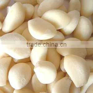 FE-06 Rice Grinding Sesame Beans Corn Grinder Food Grinding Machine thumbnail-2