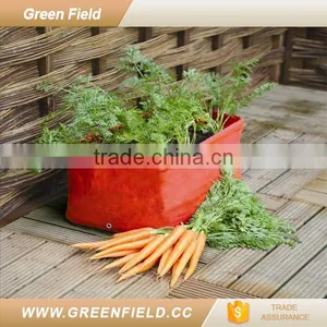 Green Field PE Tomato Herb Planter Garden Bed 2017 New Arrivals thumbnail-1