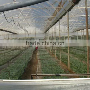 Clear Color Agricultural Greenhouse 3 Layer Film With Different Specifications thumbnail-1