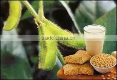 Soy Protein Isolate 90% Protein thumbnail-1