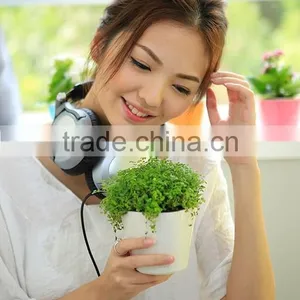 High Quality Colorful Small Mini Decorative Plastic Flowers Pot Home and Office Decoration thumbnail-3