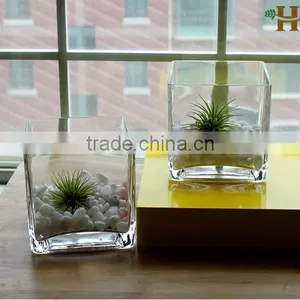 Cheap Clear Cube Glass Vases Wholesale thumbnail-4