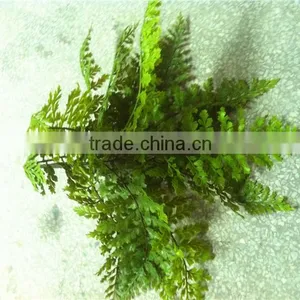 Home and Outdoor Garden Edging Christmas Decoration 60cm or 24inches Height Artificial Small Grass for Green Wall E04 1014 thumbnail-5