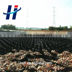 Supply Cellular Confinement System for Soil Sand Gravel HDPE Geocell Pavers thumbnail-1
